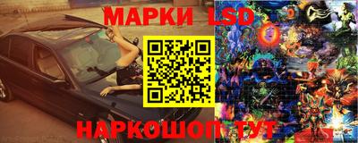 прущие грибы Пенза