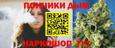 прущие грибы Пенза