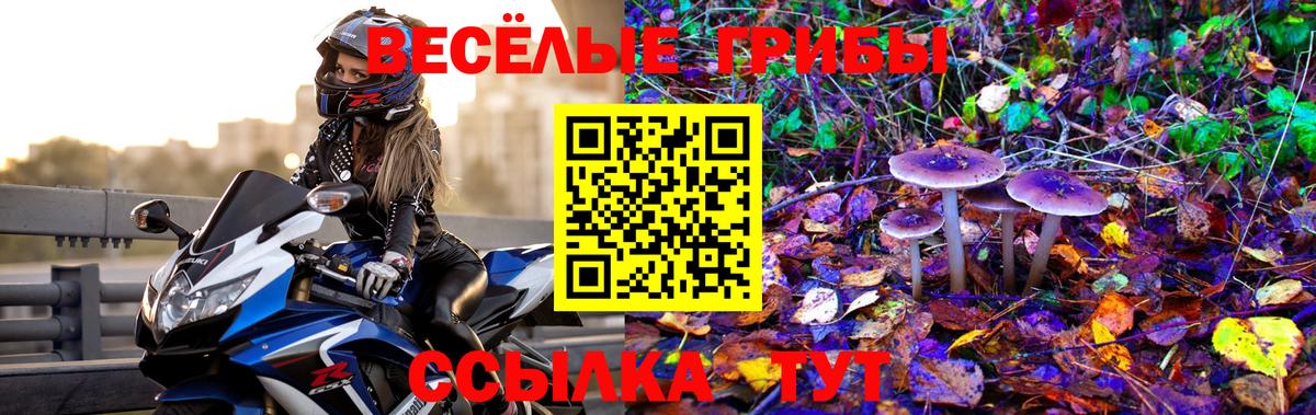 Галлюциногенные грибы GOLDEN TEACHER Пугачёв